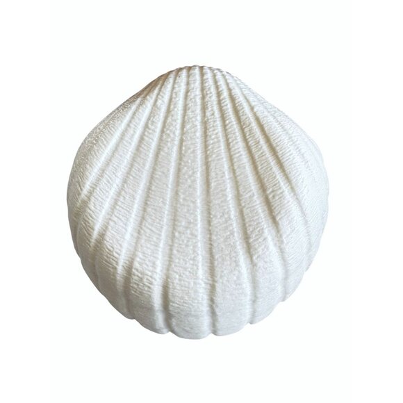 Shell-Shaped Ceramic Bowl Decorative & Functional Design - Picture 7 of 7